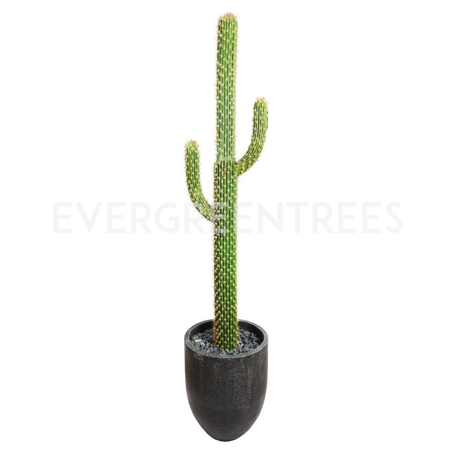Arizona Cactus 173Cm Cactus Hias / Cactus Palsu / Cactus Import