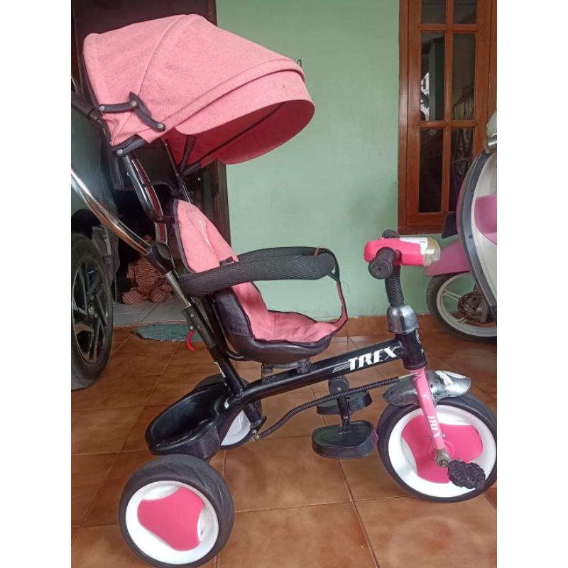 Sepeda Trex Roda 3 _Preloved