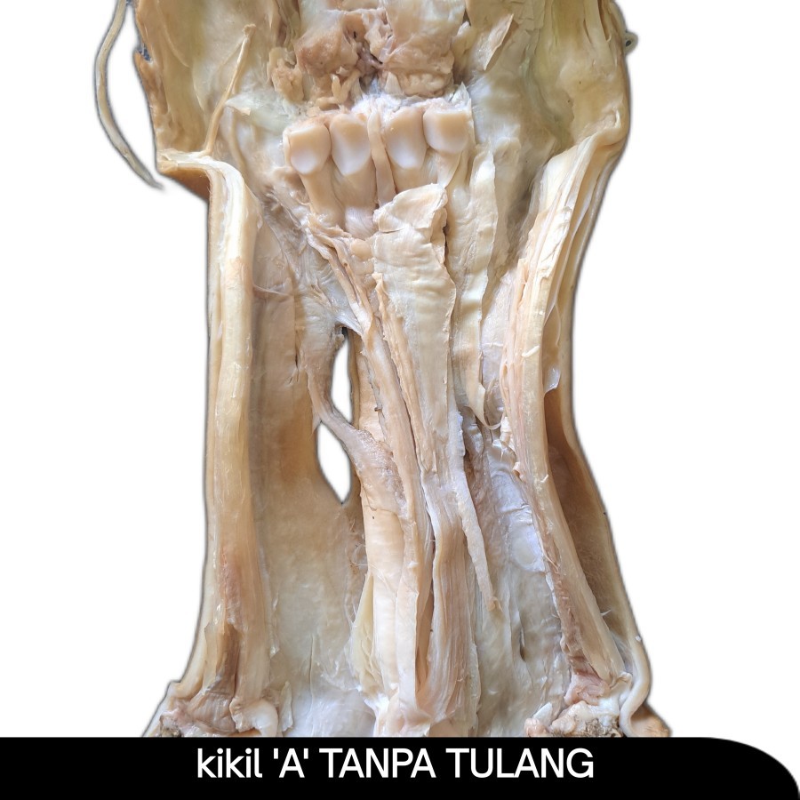 

KIKIL SAPI A | TANPA TULANG 100%
