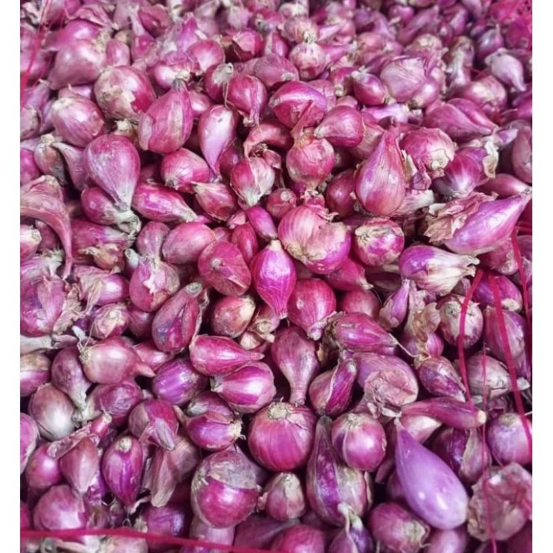 

bawang merah segar 500grm