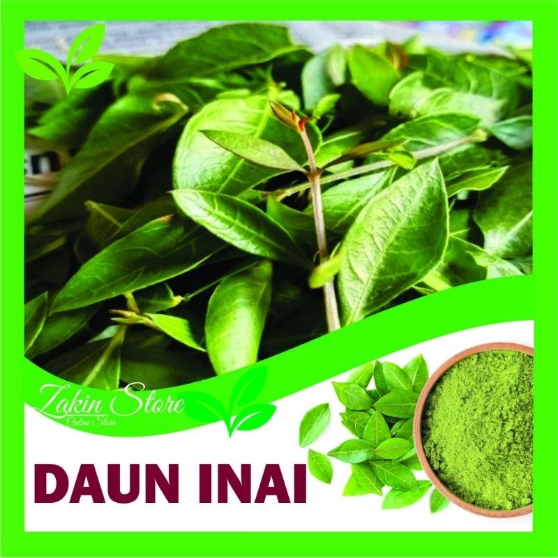 Daun Henna / Daun Inai / Daun Pacar arab / daun pacar india (500 gram)
