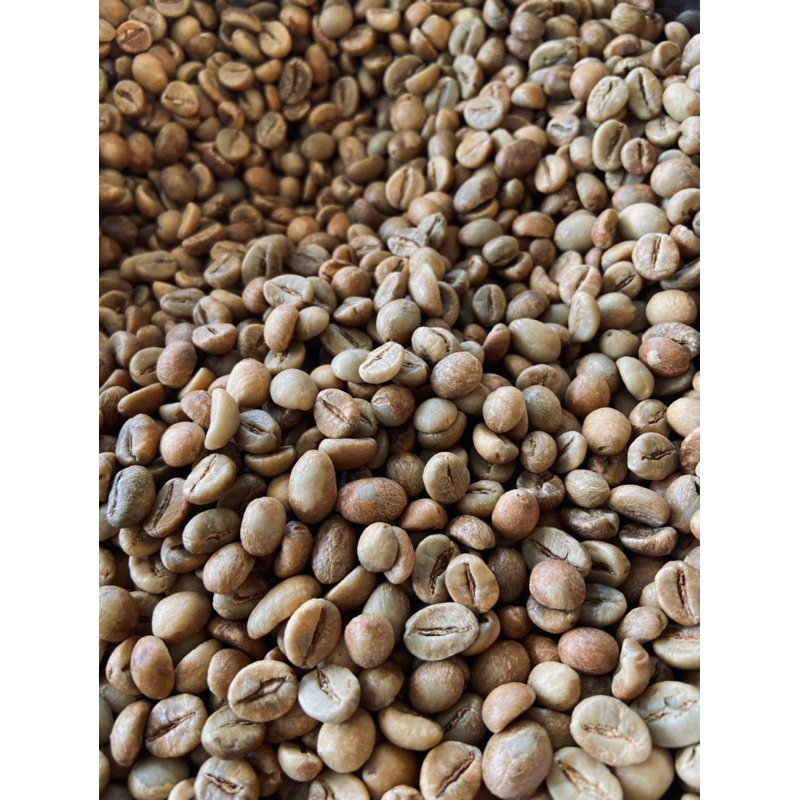

Greenbean Robusta