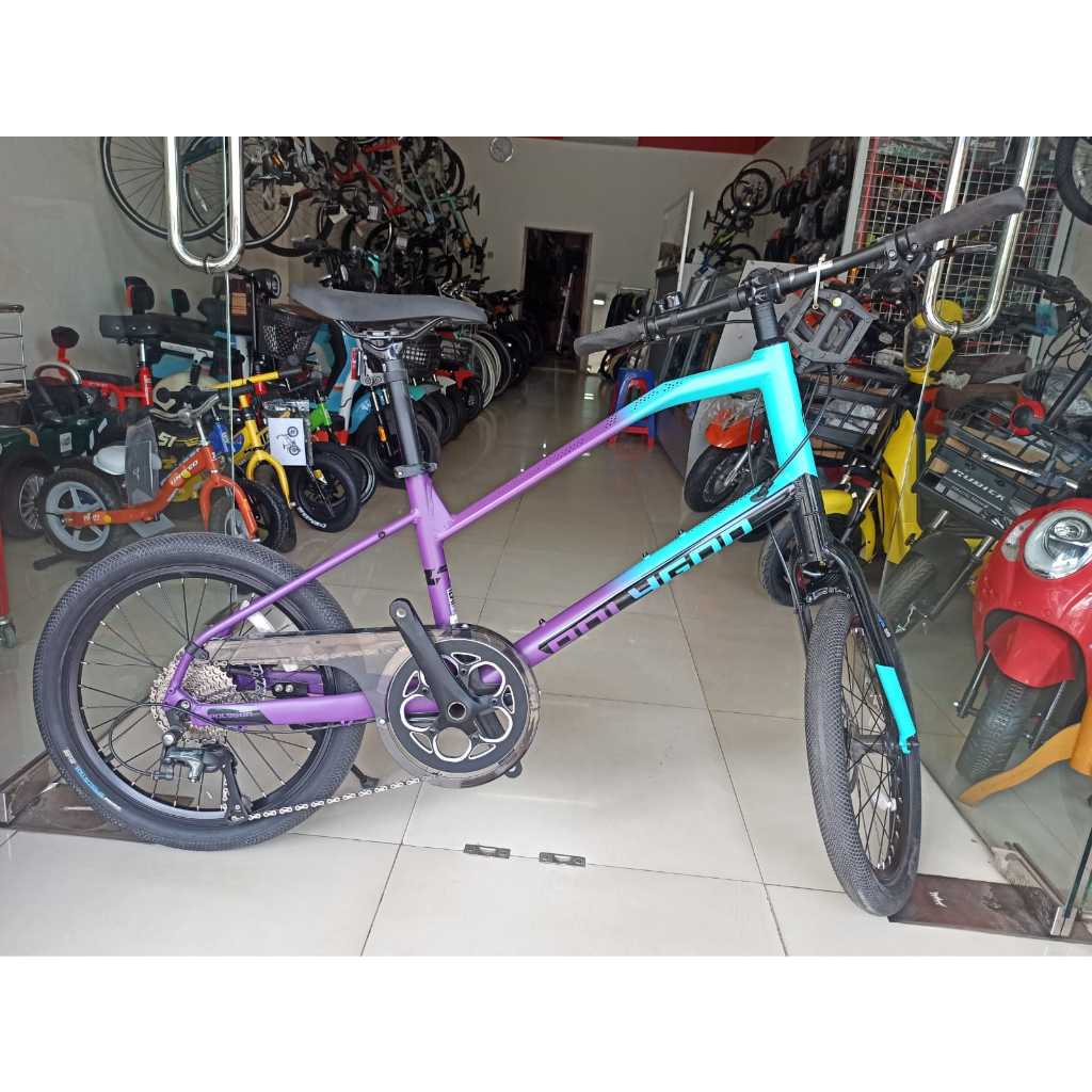 MINI VELO SEPEDA POLYGON ZETA 2 20X14