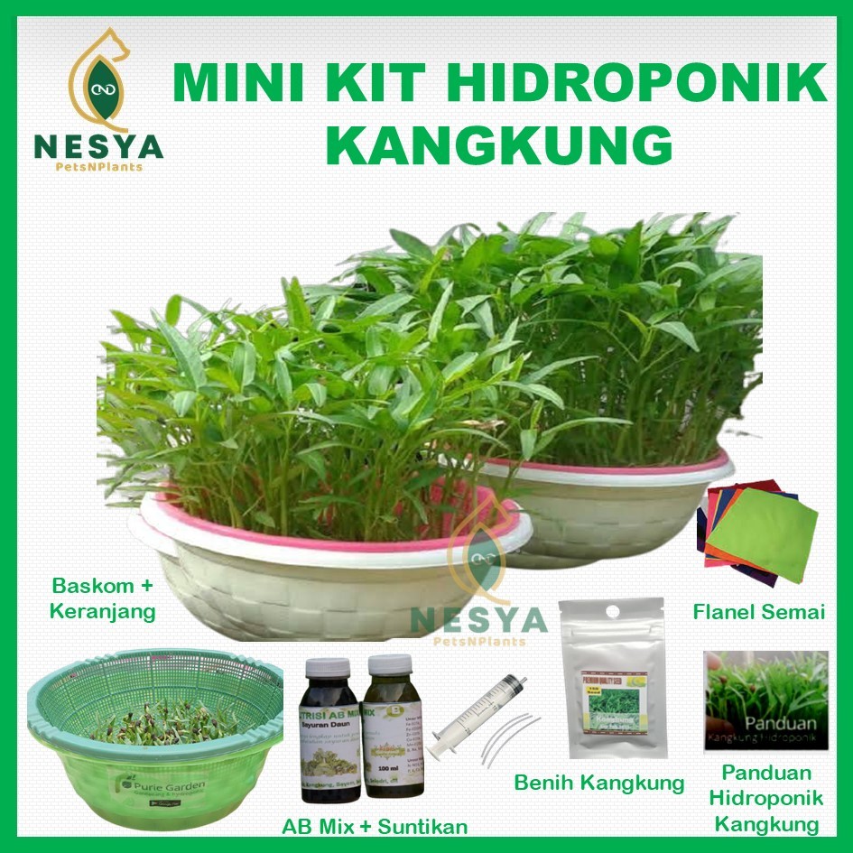 Mini Kit Kangkung Hidroponik Paket Hidroponik Kangkung Lengkap