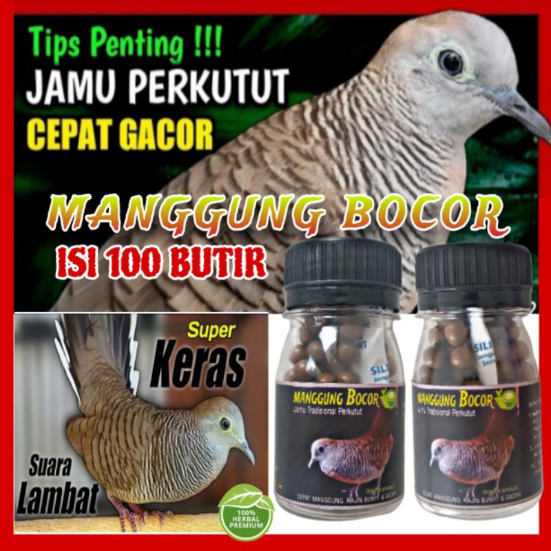 JAMU PERKUTUT MANGGUNG BOCOR PREMIUM ISI 100 BUTIR obat jago manggung warisan leluhur super gacor ra
