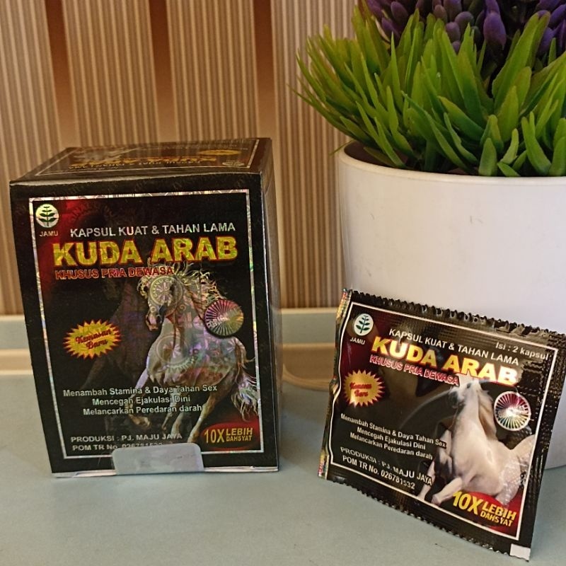 KUDA ARAB KAPSUL