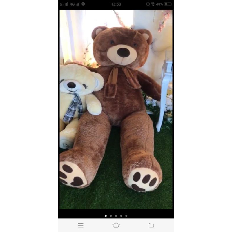 Extra jumbo Termurah Boneka Bear 2meter premium Quality
