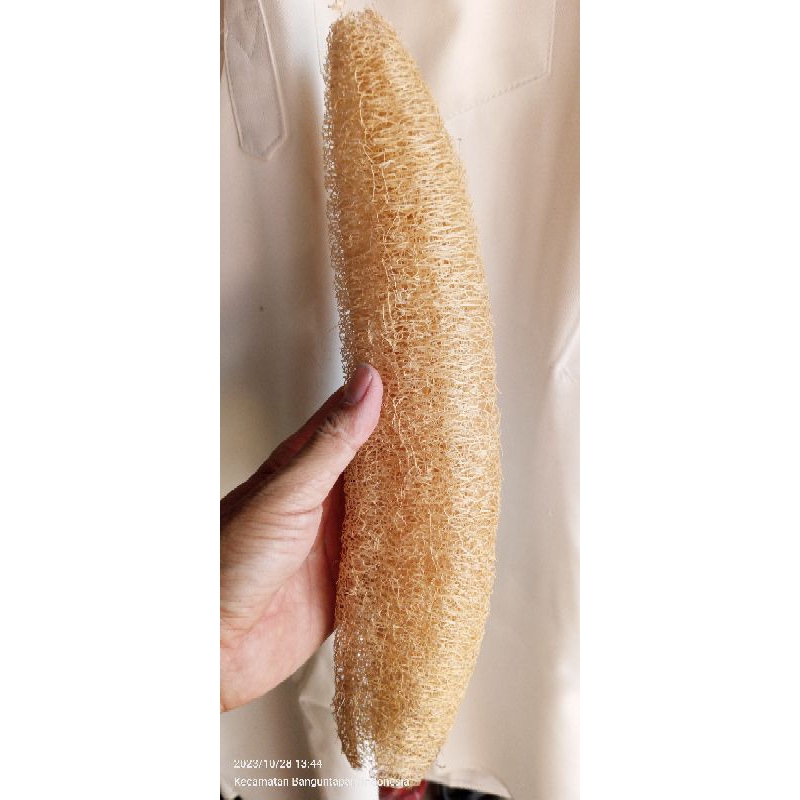 Blustru, serat oyong, loofah,sponge, gambas, sabut mandi, sabut alami, termemes, sabut oyong, sabut 