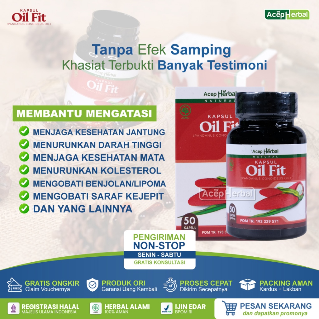 Kapsul Oil Fit Ekstrak Buah Merah Papua Obat Herbal Multikhasiat Isi 50 Kapsul
