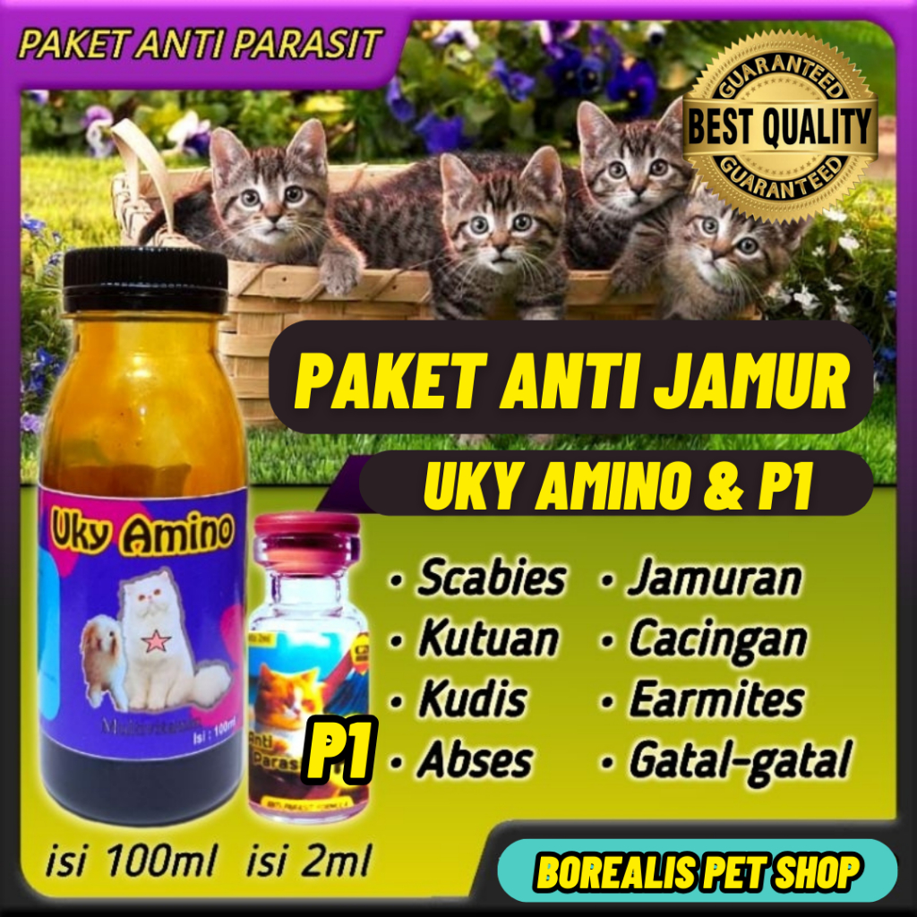 Paket Bulu RONTOK & JAMURAN Kucing Cat Obat Jamur Kucing Suntik Obat Scabies Kucing Gemuk Cat Food