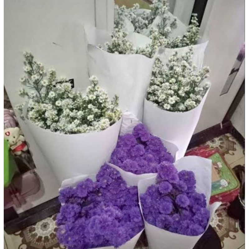 Bunga Pikok/ Bunga Pekok Asli Fresh Segar