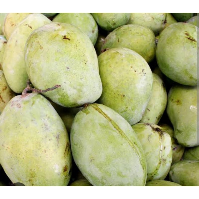 

Mangga Indramayu per kg Sayur Segar Palembang