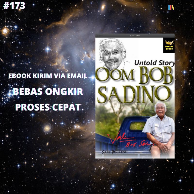 

UNTOLD STORY OM BOB SADINO