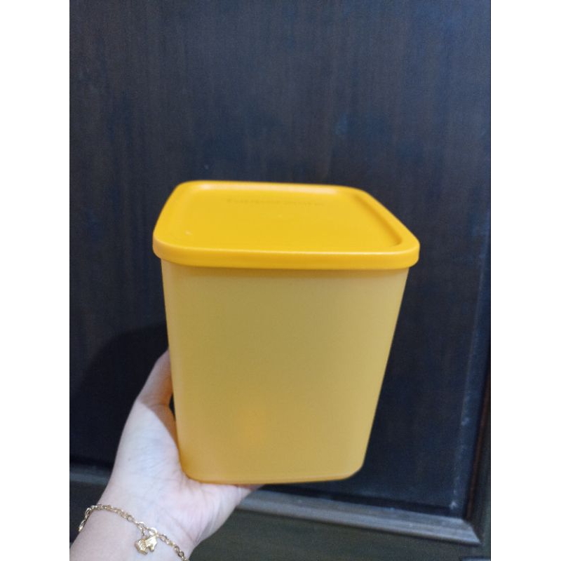 Large Summer ECER Tupperware / toples