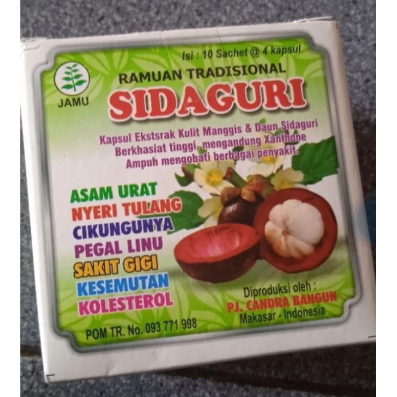 sidaguri kapsul original