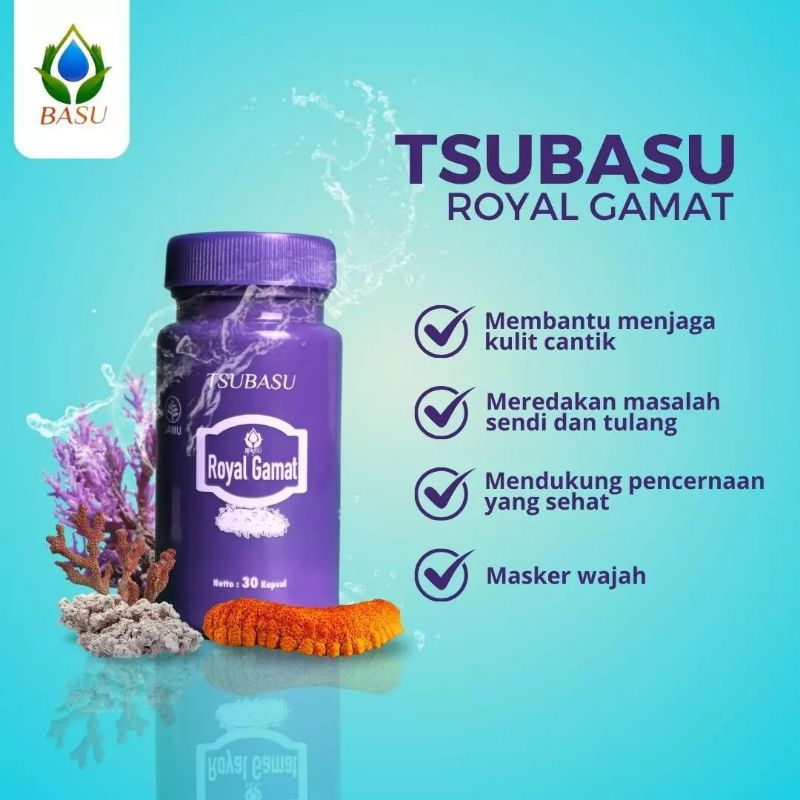 GAMAT, ROYAL GAMAT, obat herbal, tripang emas, tripang, gamat herbal 1 paket 2 botol