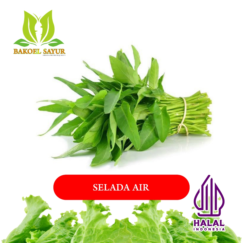 

KANGKUNG SEGAR PER IKAT