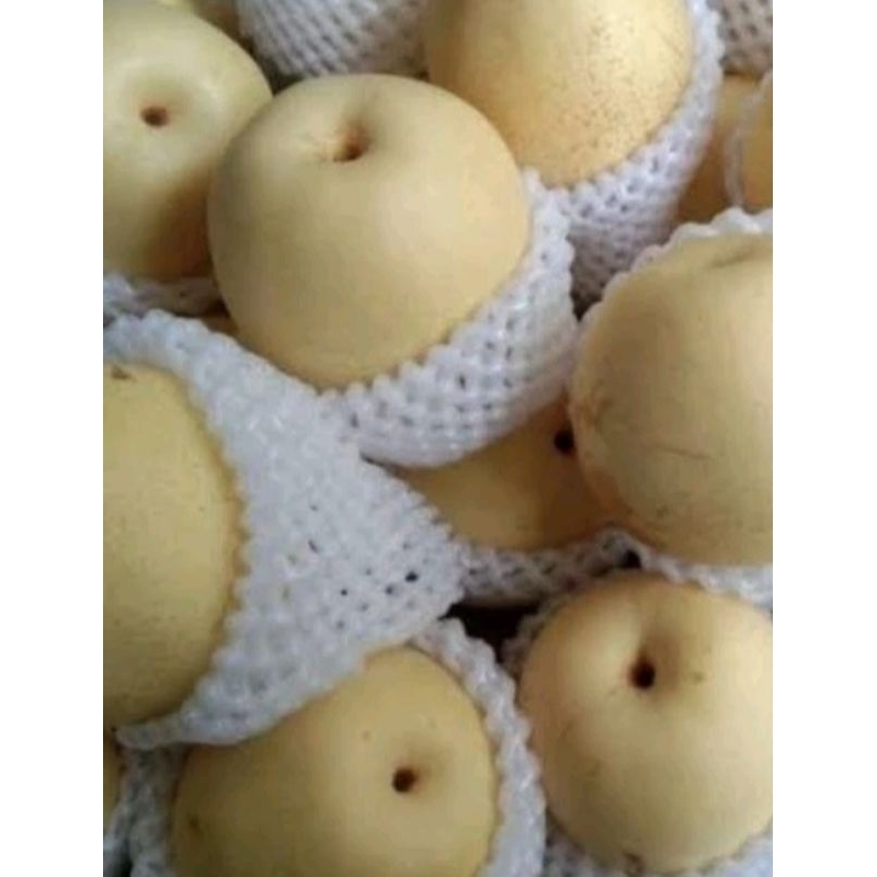 

buah pear / pear century /buah pir