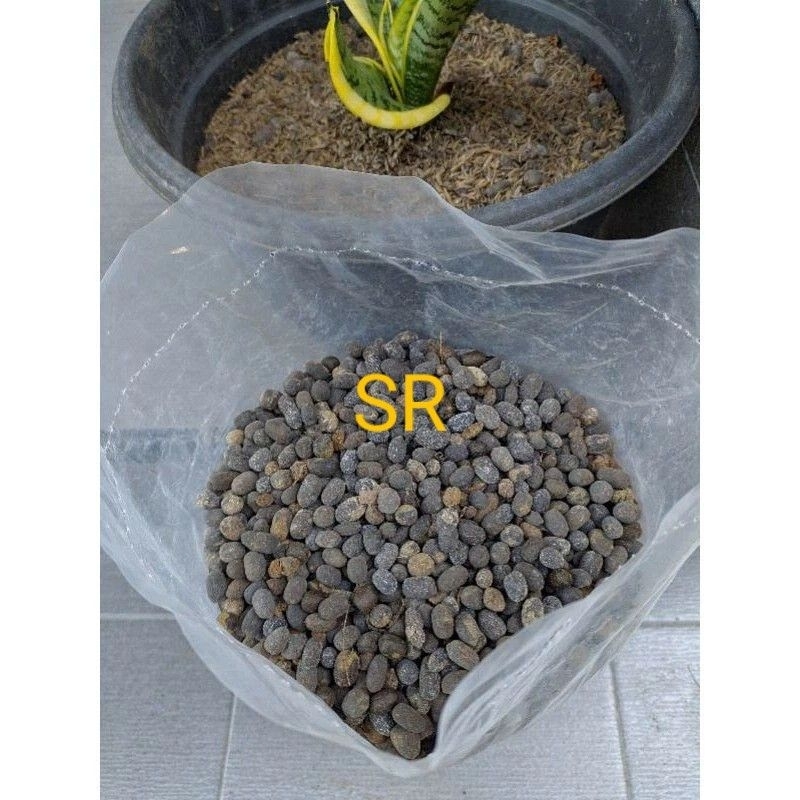 pupuk kohe kambing pupuk kotoran kambing murni