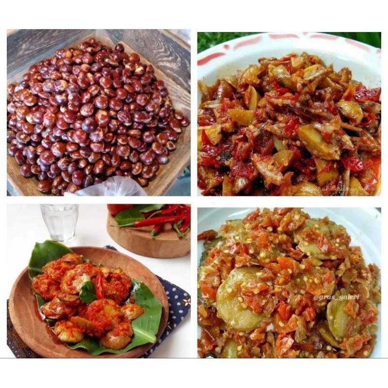 

Jengkol mentah super