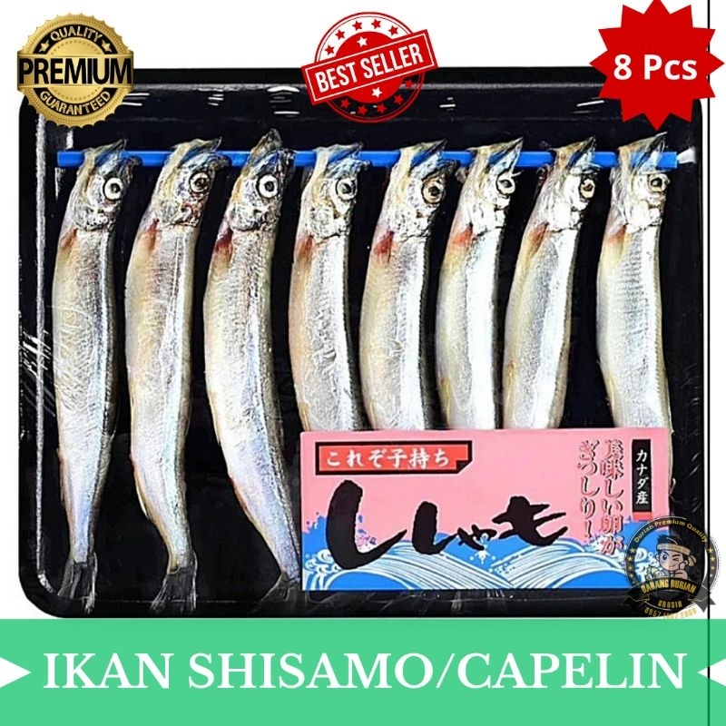 

IKAN SISHAMO PREMIUM 8PCS HALAL BANYAK TELUR BERVITAMIN TINGGI DIKEMAS DENGAN CARA HIGENIS DIJAMIN KESEGARAN IKAN DIBEKUKAN DENGAN SUHU 20° UNTUK MENJAGA KUALITAS TETAP BAIK SAAT DIKONSUMSI/IKAN CAPELIN