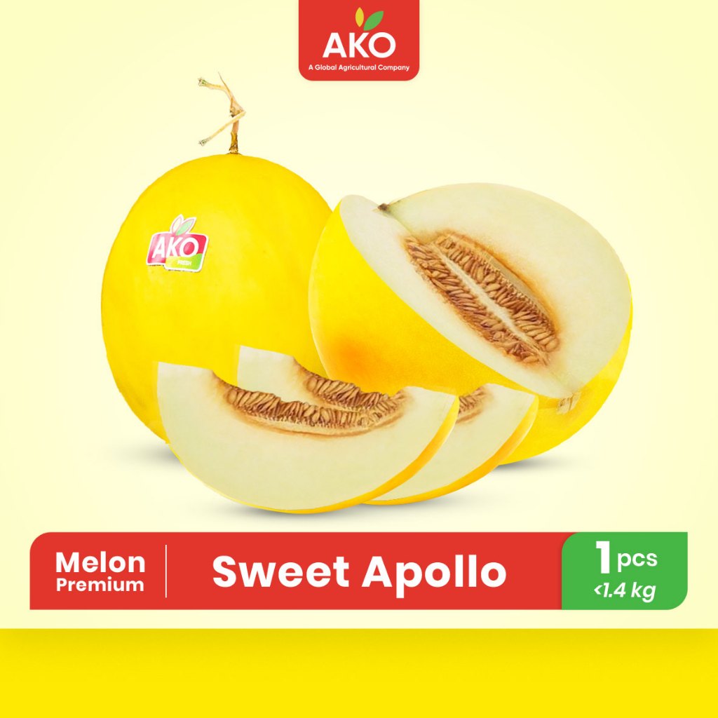 Buah Melon Golden Apollo | Buah Premium Manis Fresh Organic - AKO Melon Sweet Apollo (-+ 1,4 kg/pcs)
