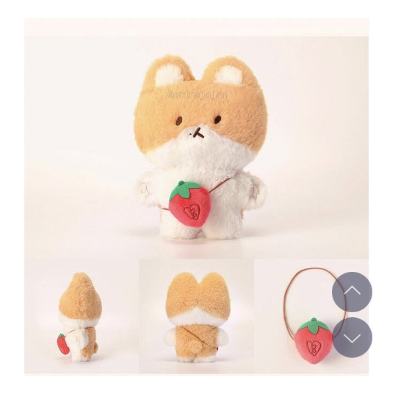 DOLL TEOLAEGI 20CM [BOOKED]