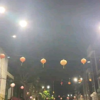 Buku The good samaritan