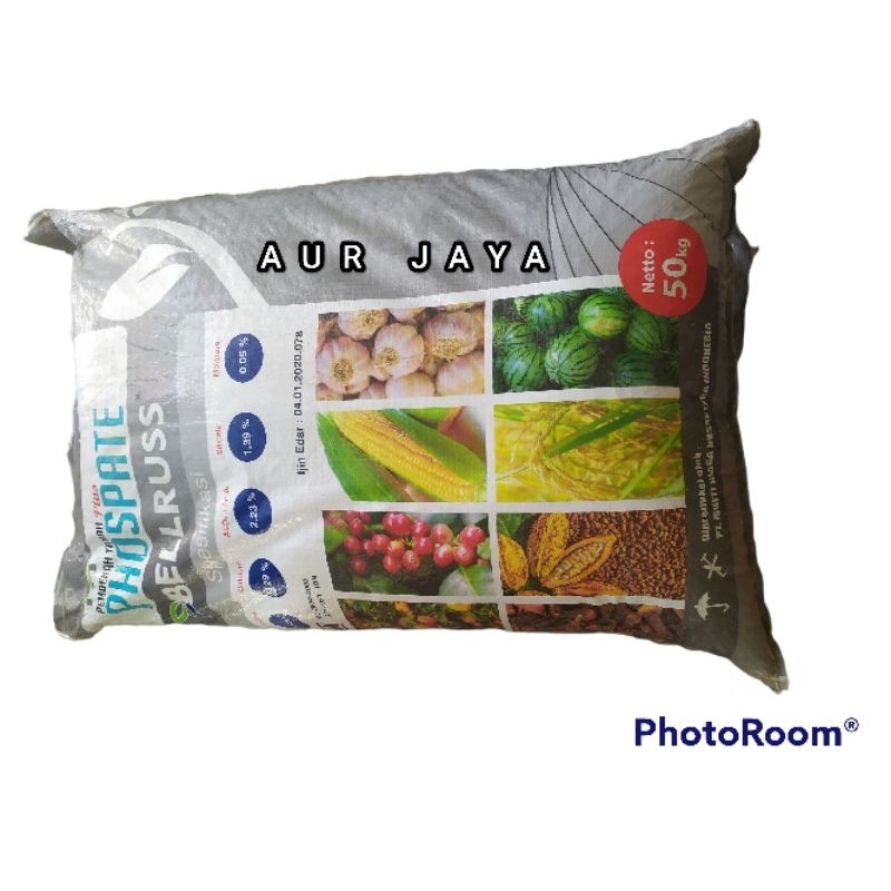 Pupuk Sp Bellarusia Bellruss 50 kg memperbesar buah dan akar