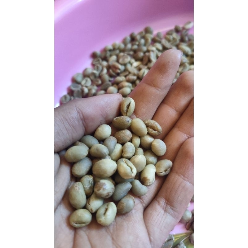 

500 gram kopi Lanang/peaberry greenbean manual sortir