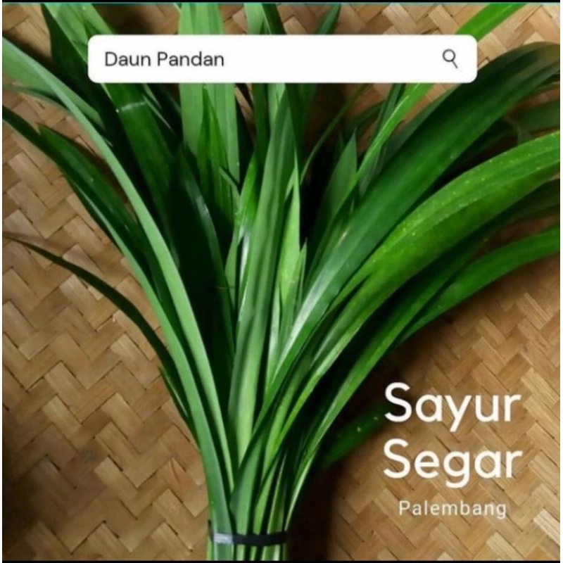 

Daun Pandan per ikat Sayur Segar Palembang