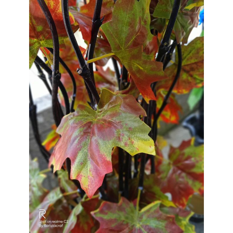 HIASAN BAMBU ULIR DAUN MAPLE GRADASI