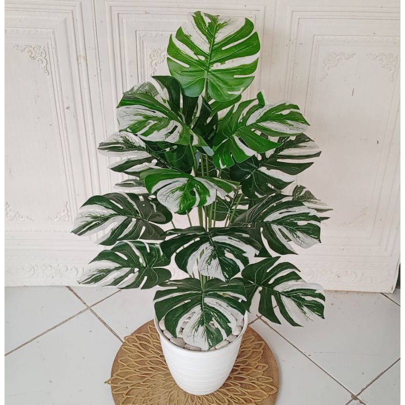 bunga sudut monstera variegata artificial pot tawon//tanaman hias plastik monstera variegata murah p