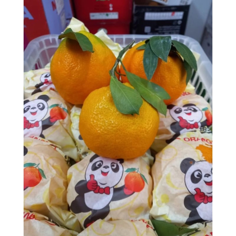 

Promo jeruk dekopon super manis segar | keranjang -+ 6 kg