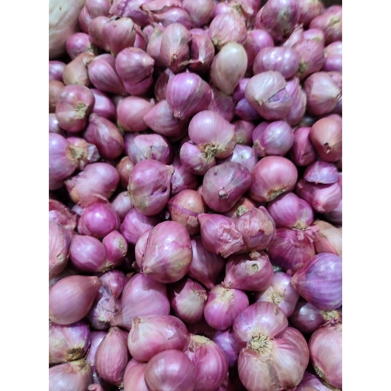 

BAWANG MERAH 100gr