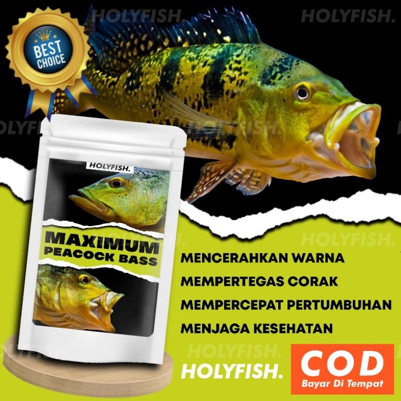 Pelet Pakan Ikan Pbass Peacock Bass MAXIMUM PEACOCK BASS Pbass Mono Orinoco Temensis Azul Kelberi Xi