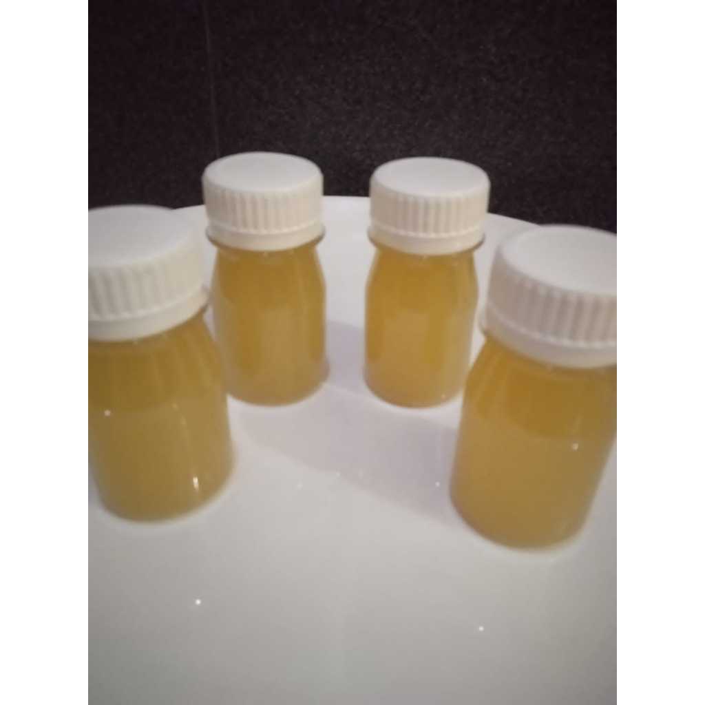 SARI PATI IKAN GABUS/KUTUK/ALBUMIN