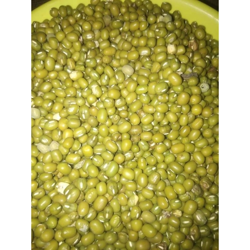 

kacang hijau asli dari petani murni
