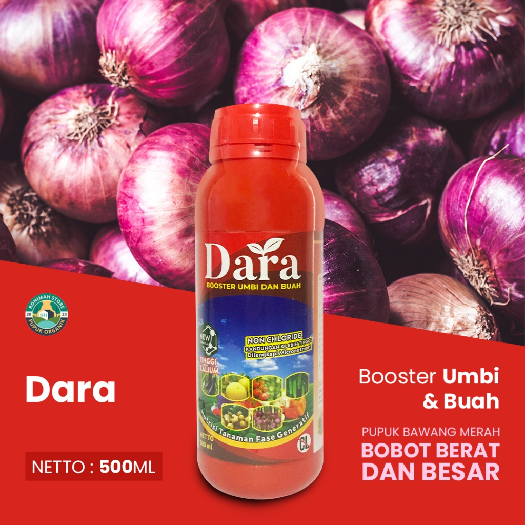 pupuk DARA booster umbi dan buah bawang merah yang bagus - pupuk bawang merah pembesar - pupuk bawan