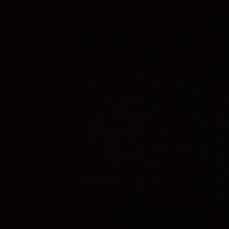 Orange Baboon Tarantula/OBT