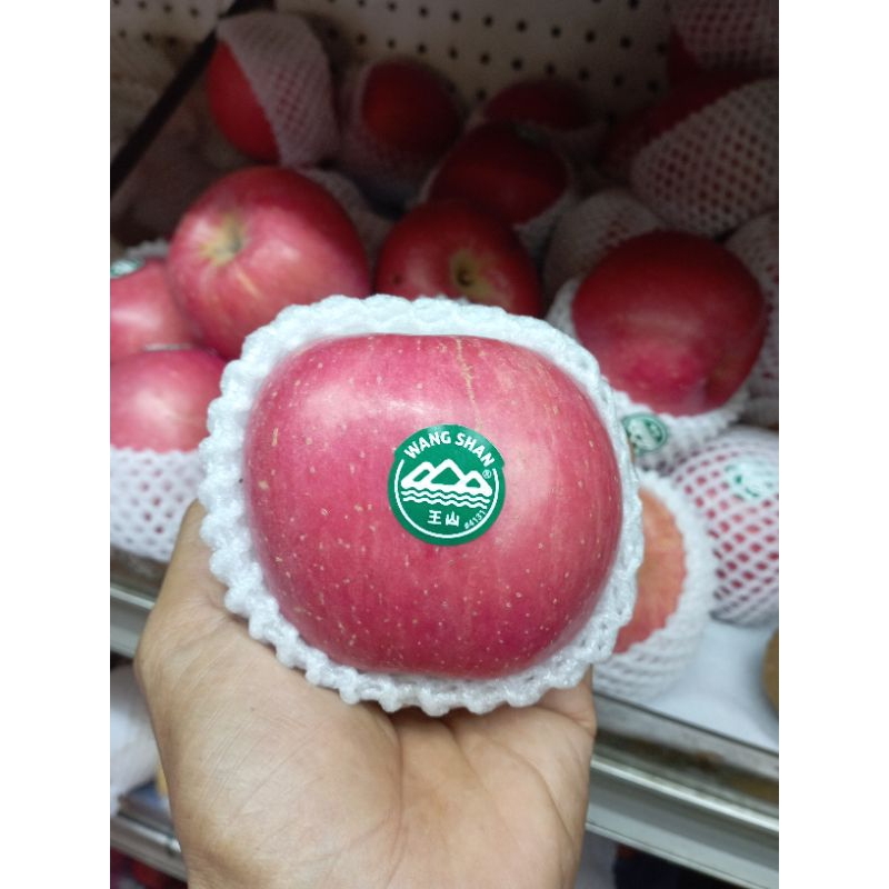 

apel fuji wangshan sedang (2buah)