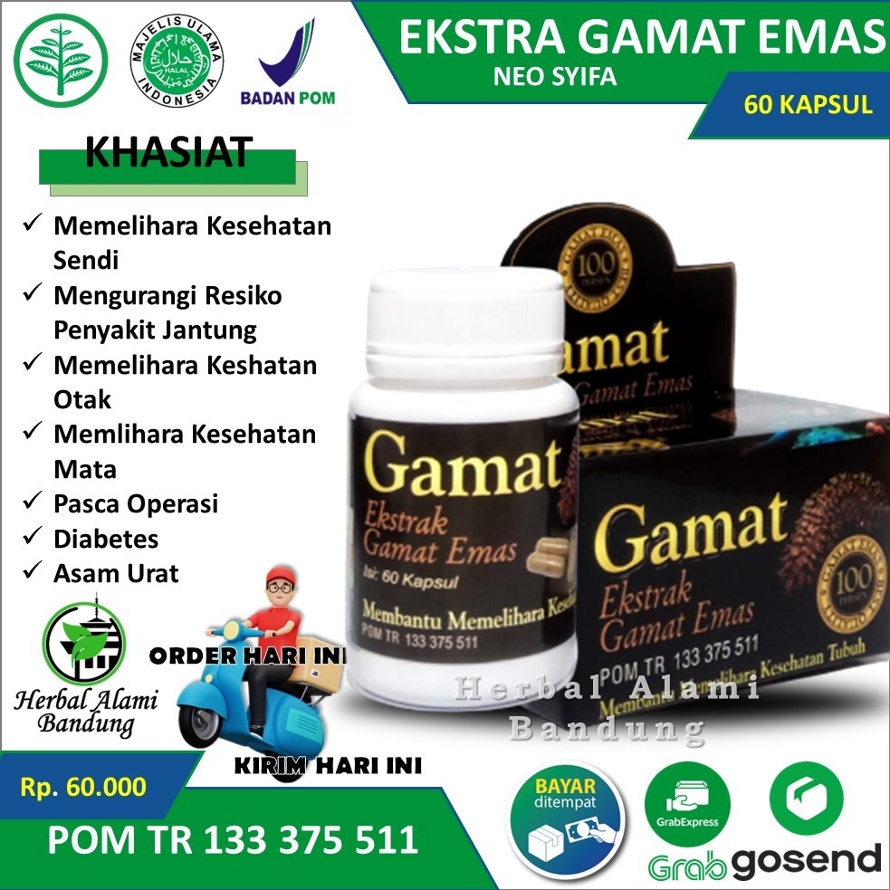 PROMO Ekstrak Gamat Emas Kapsul Jelly Gamat  Kapsul Gamat Emas Teripang Emas Asli