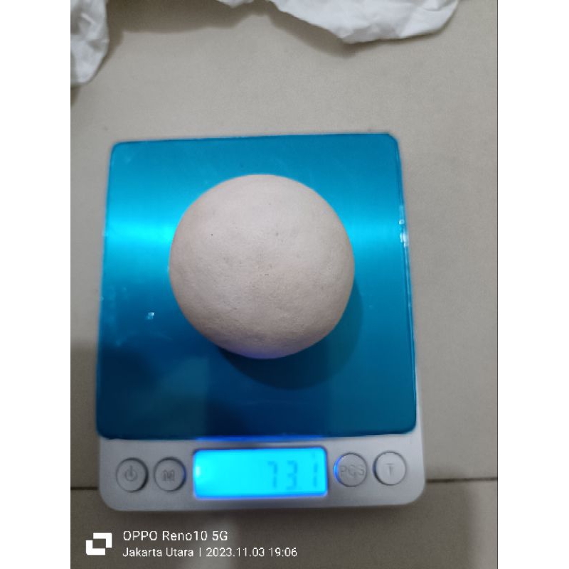 geliga batu landak putih alami