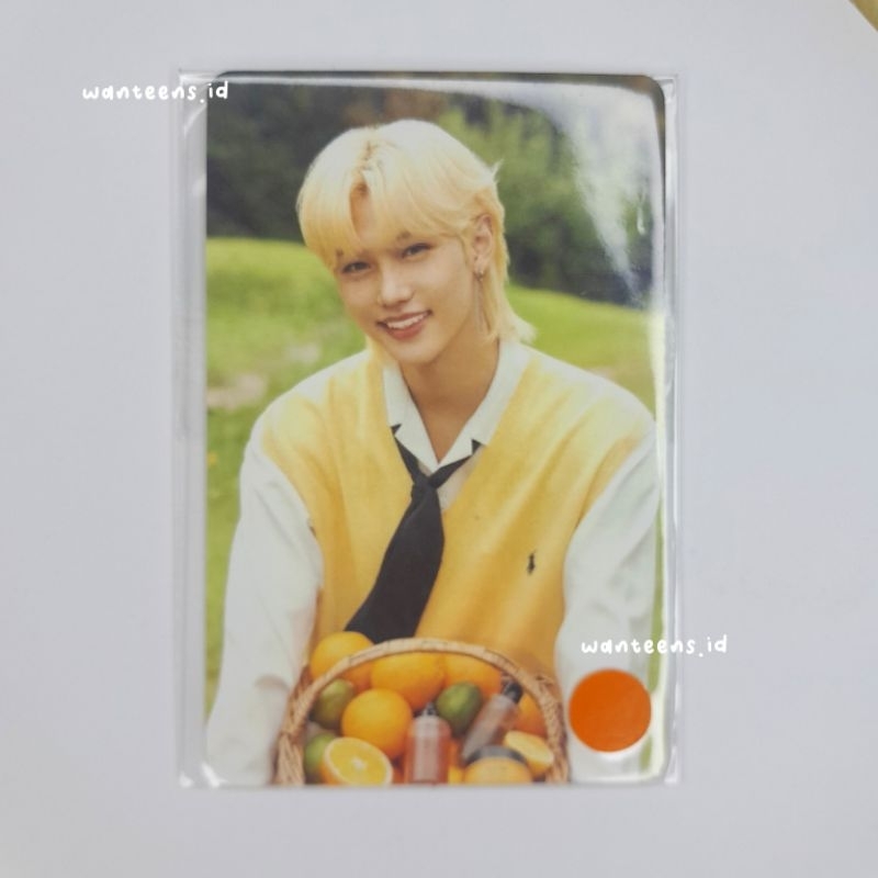 photocard pc nacific felix round batch 1