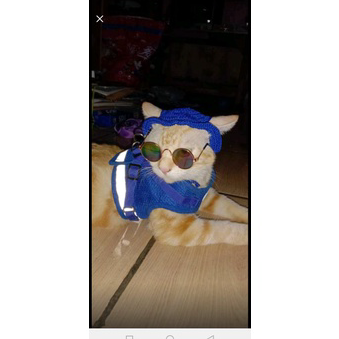 LZJJ6029 TOPI KUCING/BUCKET HAT CROCHET/TOPI KUCING PORORO/TOPI KUCING RAJUT/TOPI ANJING/TOPI ANJING