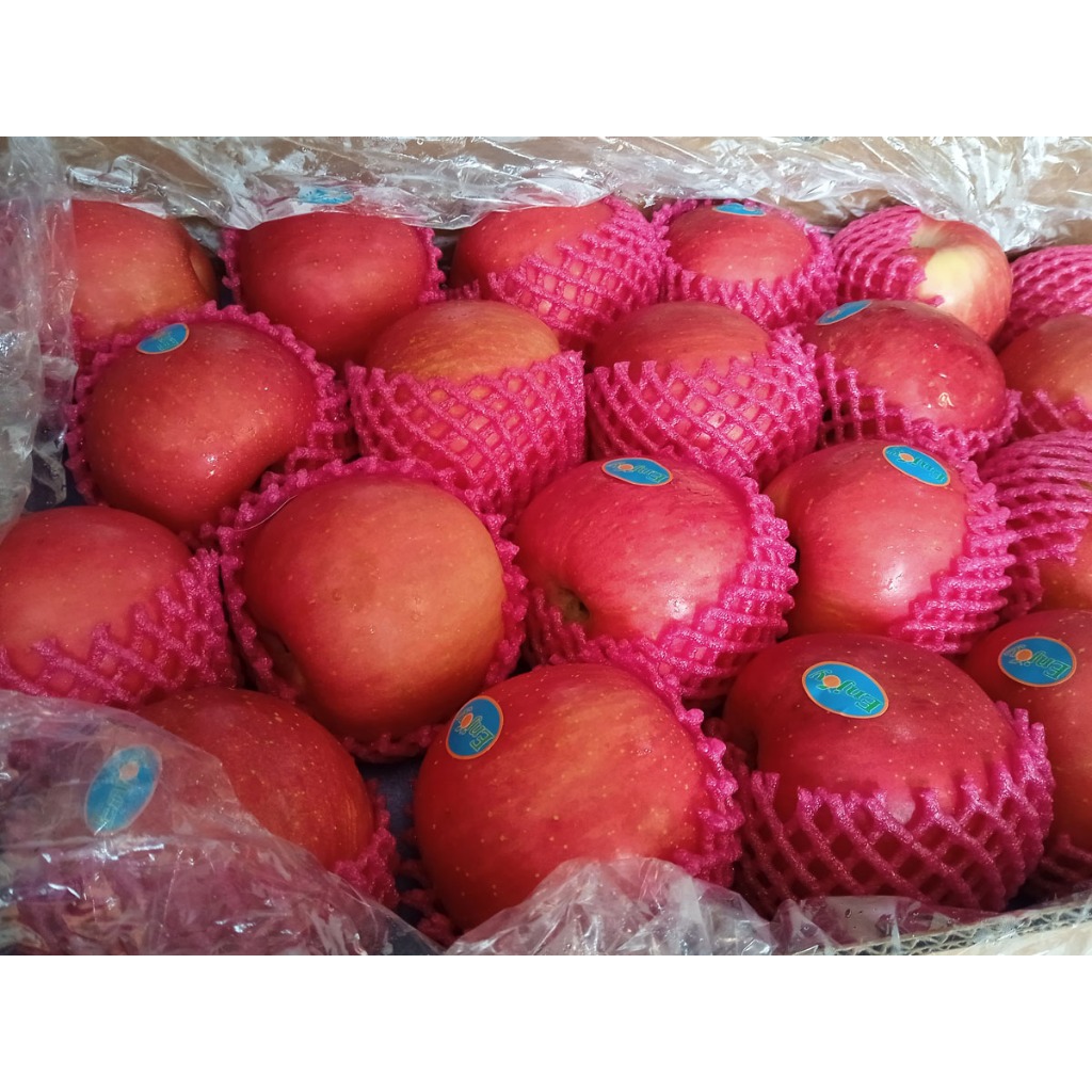 

BUAH APEL GALA 1 kg