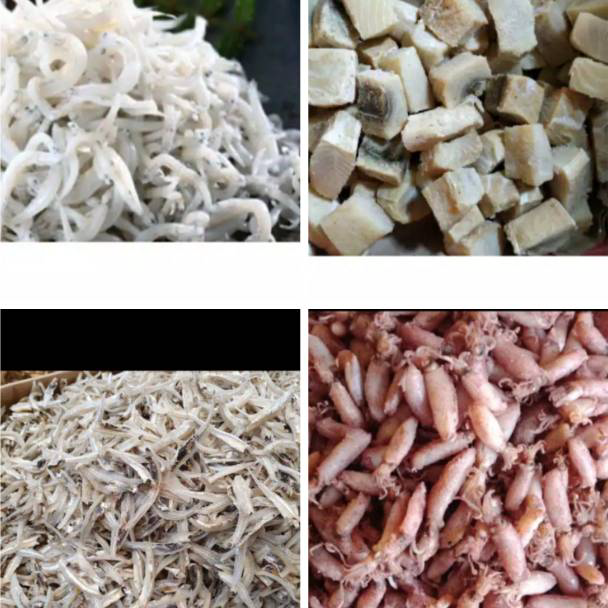 

BTVJ1853 Ikan Asin Jambal Roti / Peda Merah / Cumi Asin / Ebi / Teri Nasi Medan / Teri jengki
