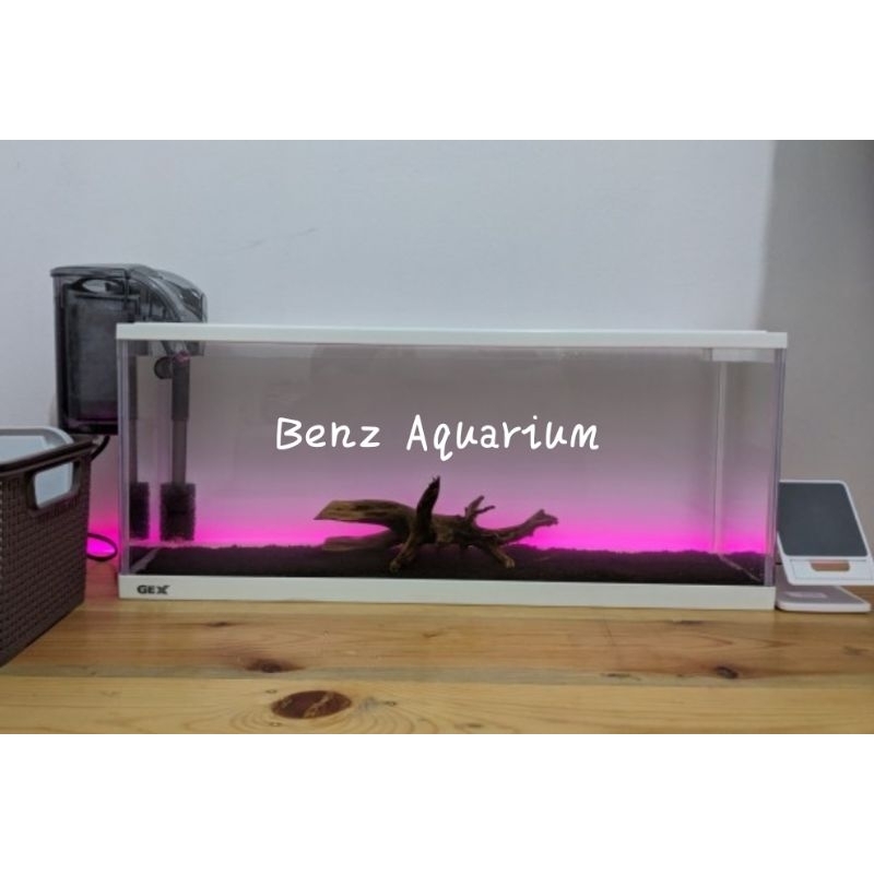 Aquarium 60 cm Gex Slim Panjang 60 cm Aquarium Ikan