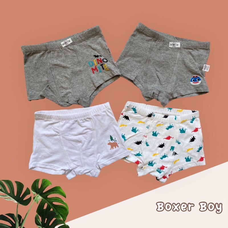 Boxer Ardenleon Boys dan Girl