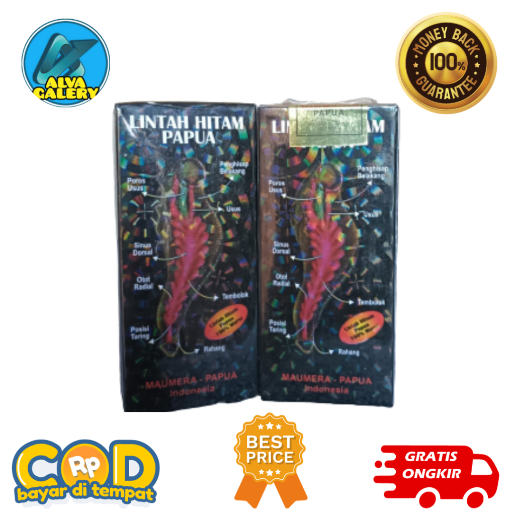 Minyak lintah hitam papua asli, lintah hitam papua, minyak lintah asli, obat pembesar dan panjang or